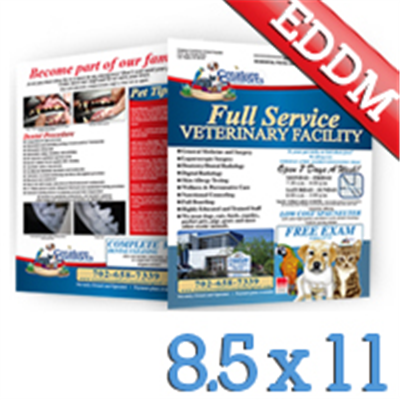 8.5 x 11 Every Door Direct Mail Postcard & Design